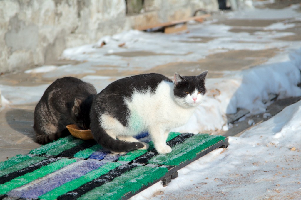 Кусково