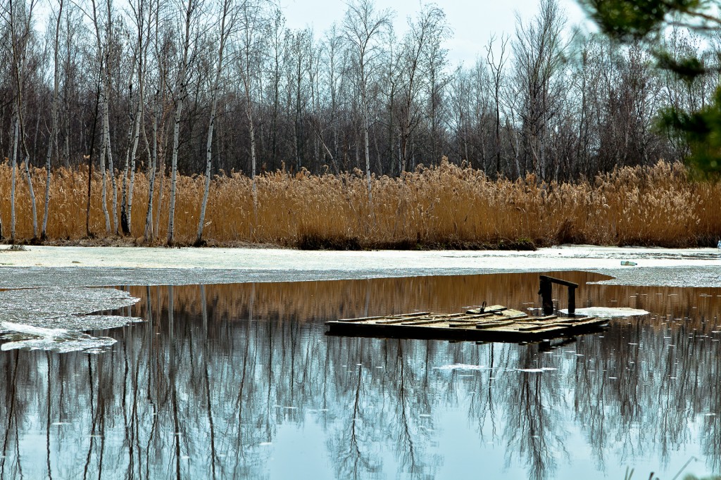 Дача 21.04.2012