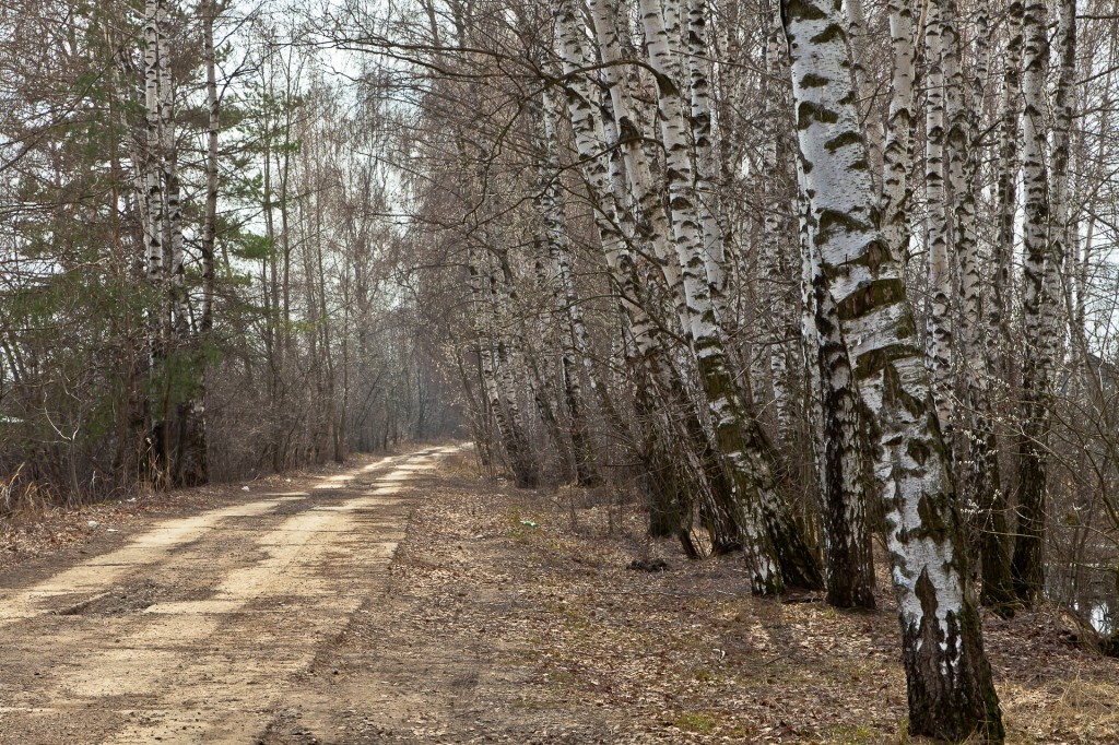 Дача 21.04.2012